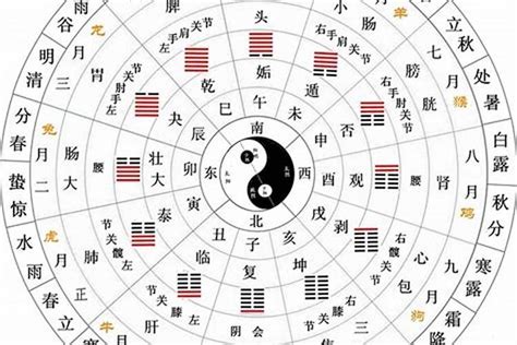 什么是天干地支|天干